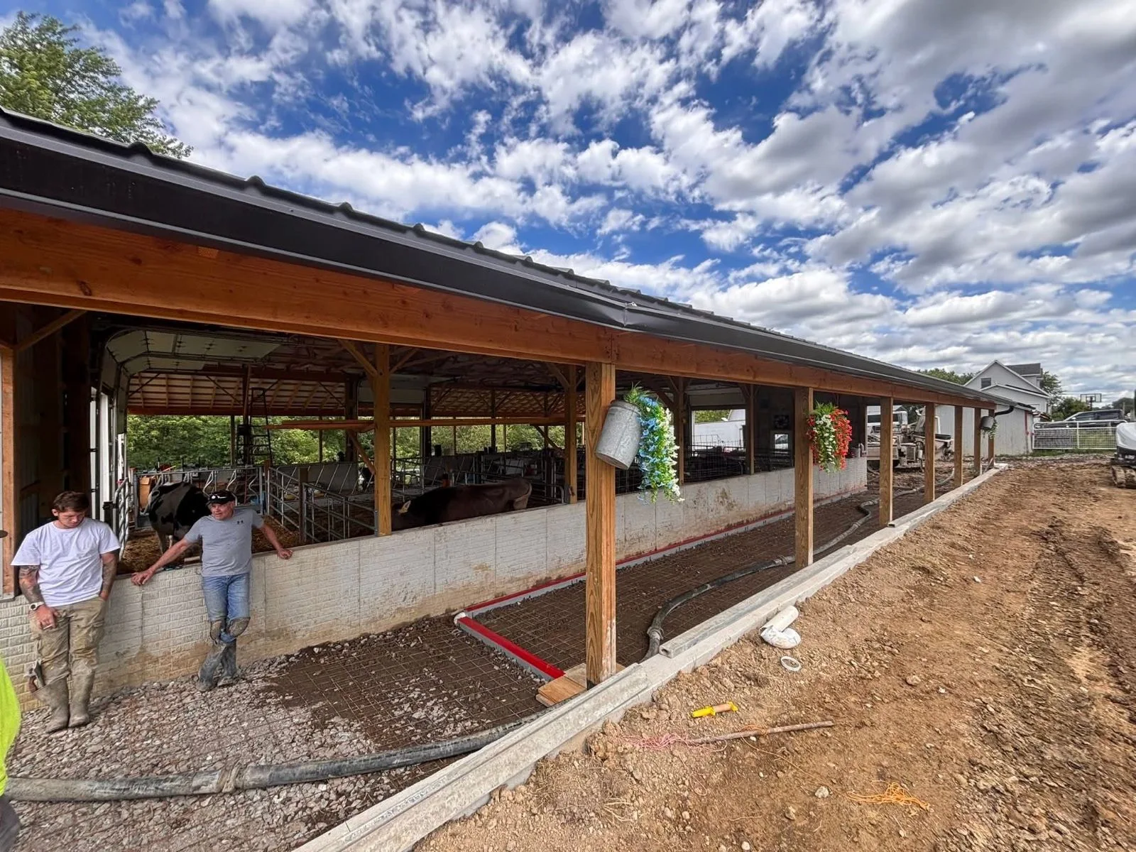 Dairy barn walkway prep