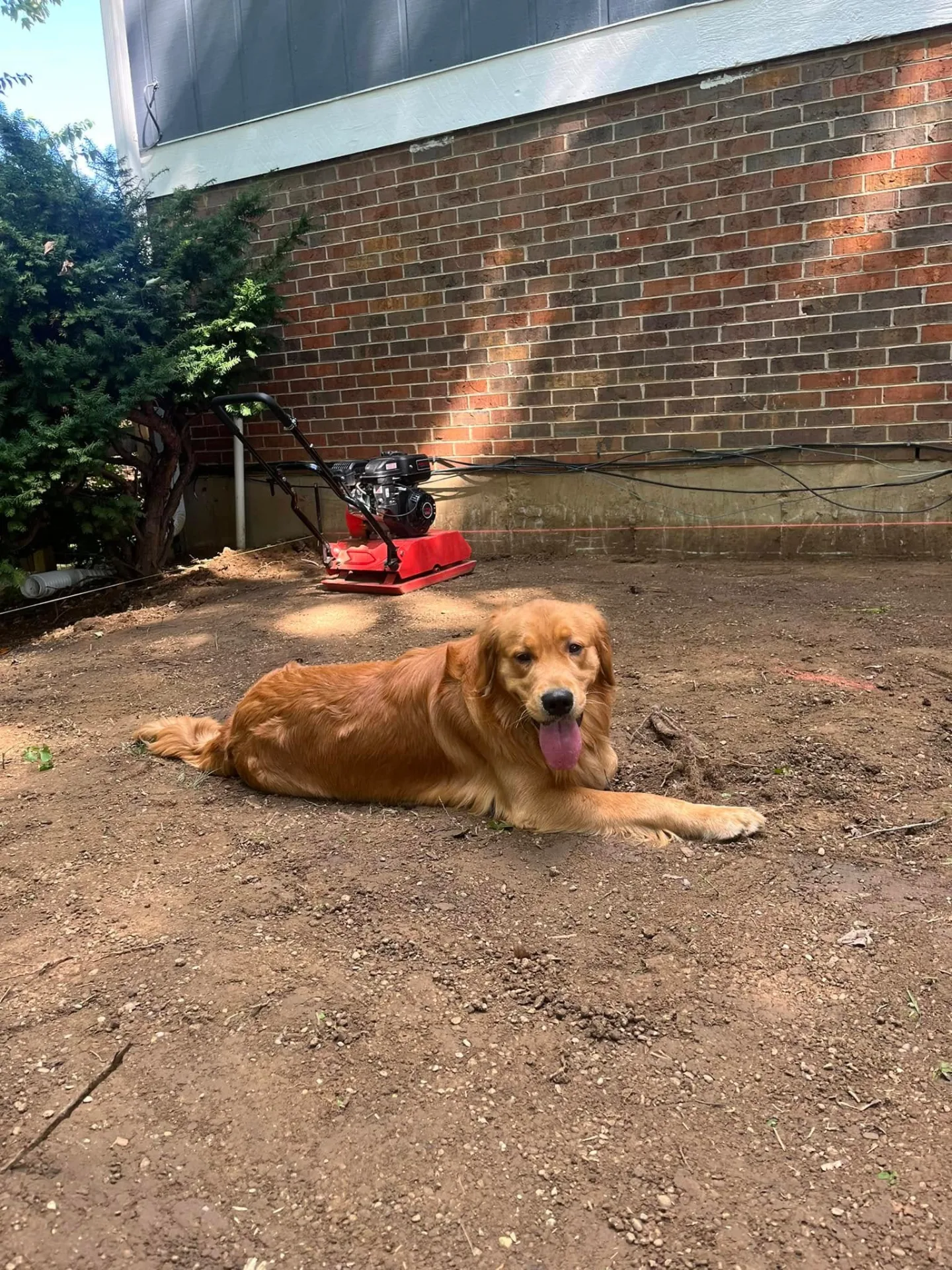 The real boss on site